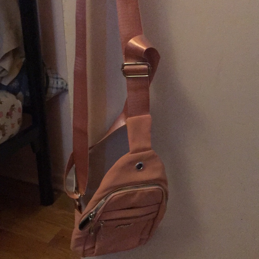 Fannypack - Picture 3 of 3